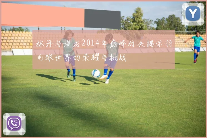 林丹与谌龙2014年巅峰对决揭示羽毛球世界的荣耀与挑战