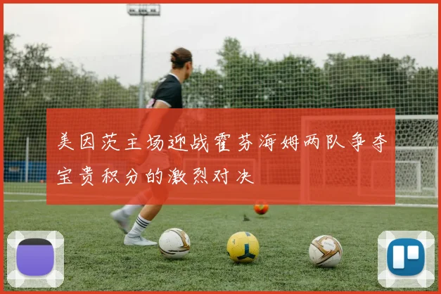 美因茨主场迎战霍芬海姆两队争夺宝贵积分的激烈对决