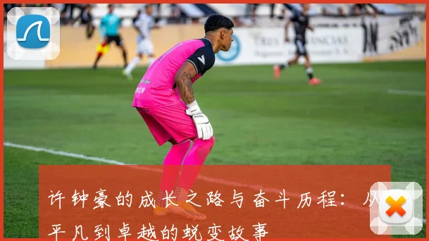 许钟豪的成长之路与奋斗历程：从平凡到卓越的蜕变故事